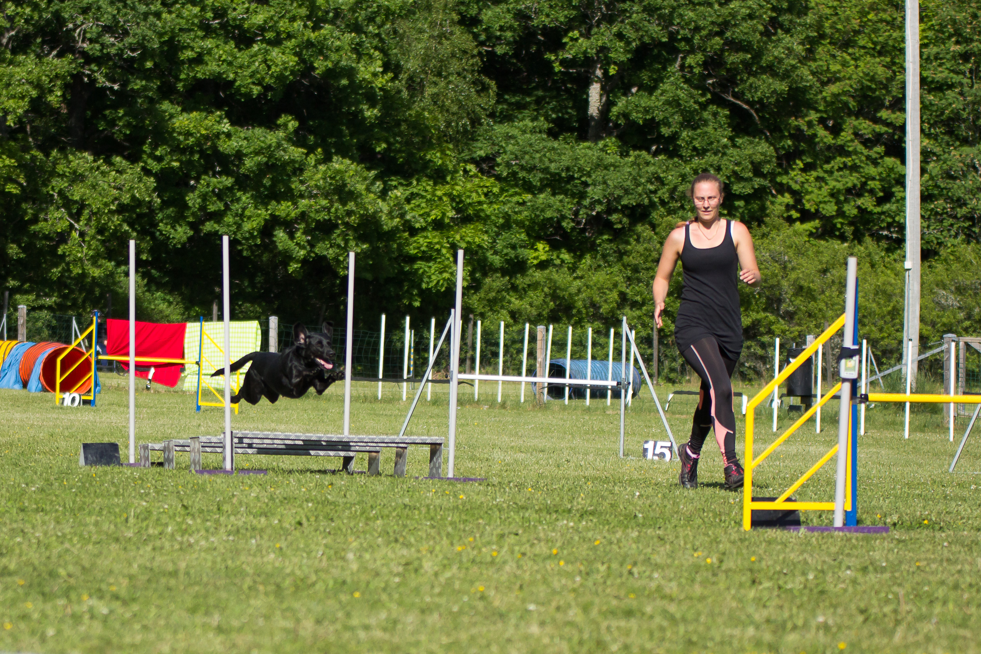 Fortsättningskurs i Agility