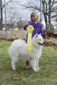 Vinnare barn med hund