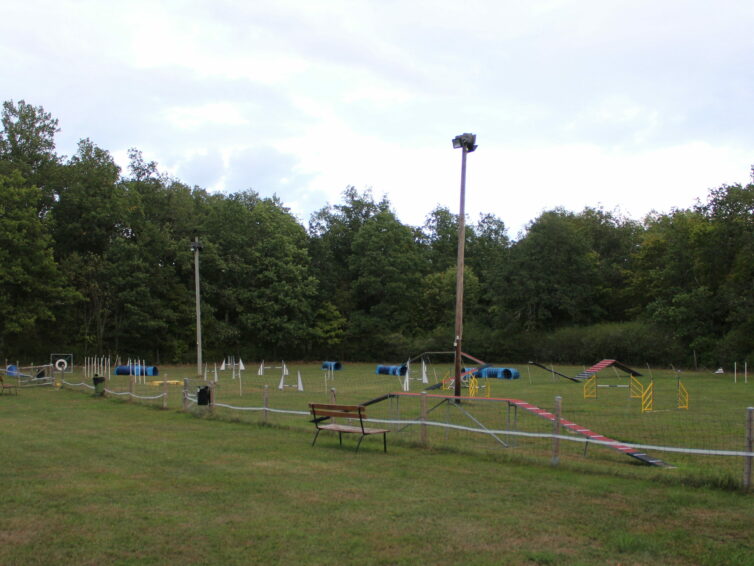 Ungdomsläger i Agility 2-3/7-2022