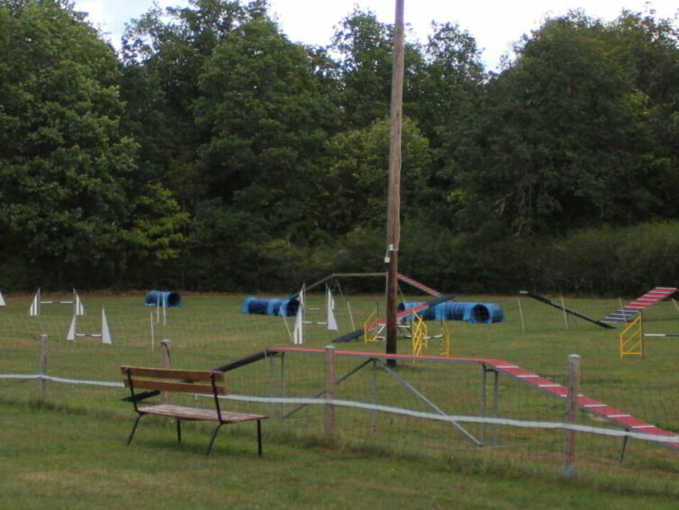 Tävlingskurs i Agility